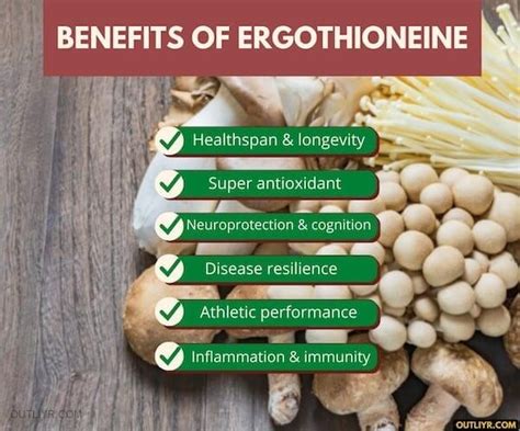 ergothioneine pronunciation|Health Benefits of Ergothioneine .
